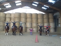  Centre équestre de l'Orival